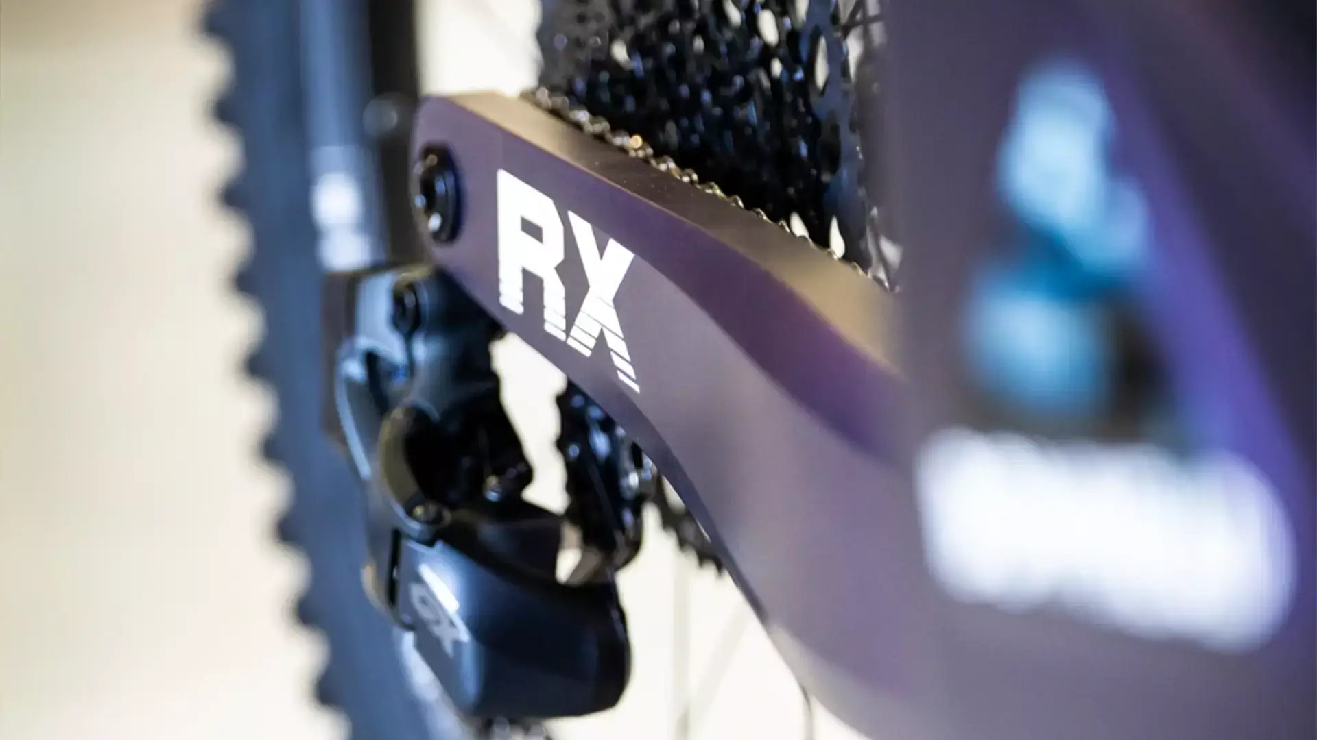 EC | BOWHEAD RX ADVENTURE E-BIKE
